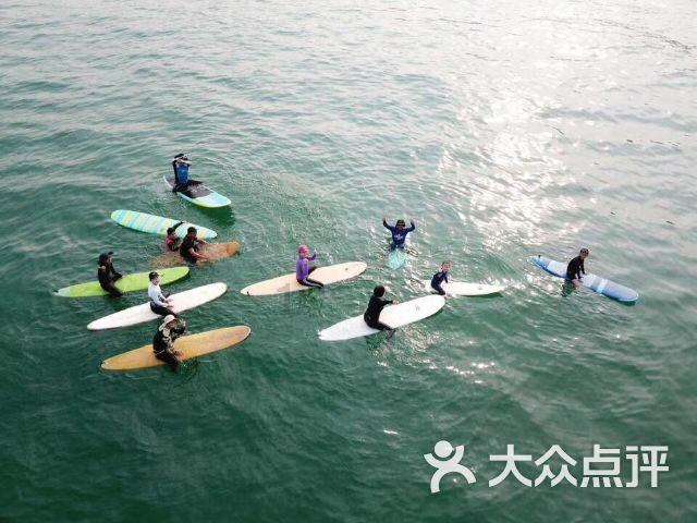动物帮帮忙保卫家园